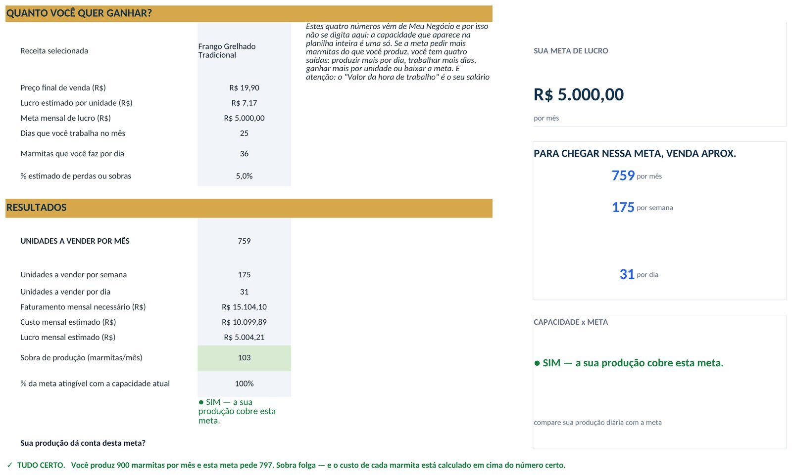 Tela de meta de renda mostrando quantas unidades vender por mês, por semana e por dia para atingir a meta de lucro